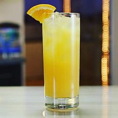 Gin and Orange 🍊