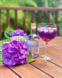 Flutterby and Tonic
