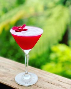 Pink Berry cosmopolitan ♥️