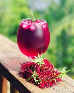 Christmas cranberry gin cocktail